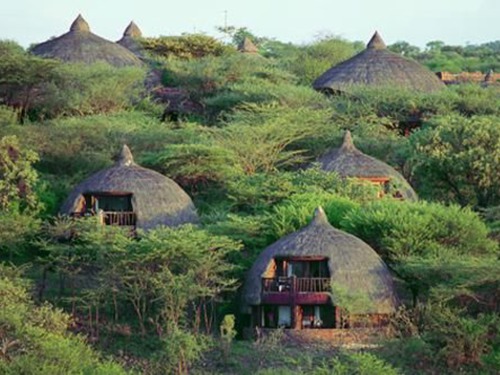 Почивка в Танзания - хотел Serengeti Serena Safari Lodge - Серенгети 4•