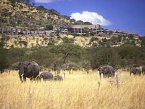 Почивка в Танзания - хотел Serengeti Sopa Lodge - Серенгети 4•