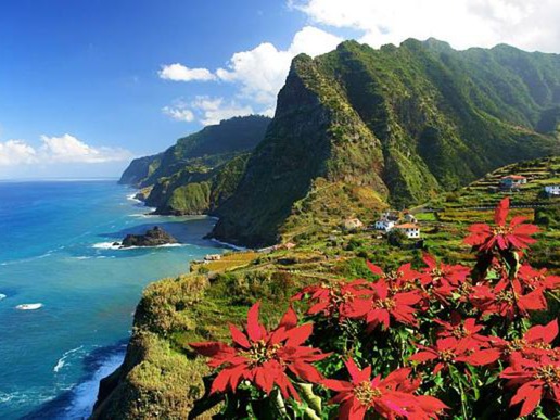 Красотата на Мадейра не се крие само в пищните градини, гостоприемни местни хора и характерен начин на живот.